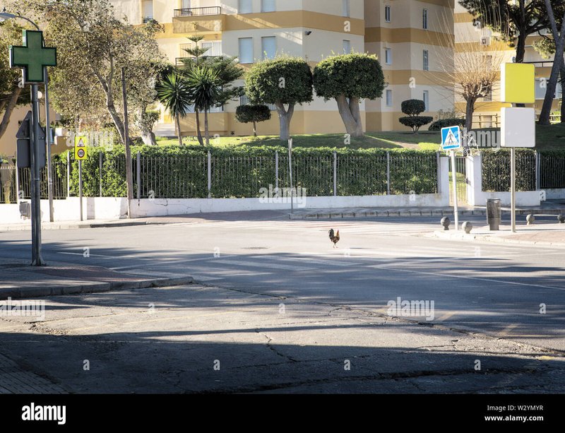 Image: Descubre el Misterio de Chicken Road en los Mejores Casinos de España