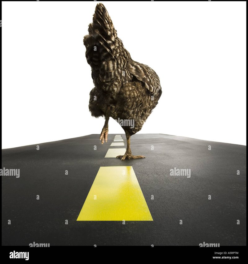 Best chicken road gokkast in Netherlands Best chicken road gokkast in Netherlands